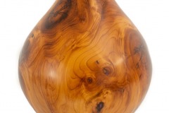 Allen-Ganser-1-yew-ball