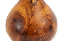 Allen-Ganser-2-yew-ball