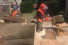 Chainsaw3-2021-07