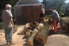 Chainsaw1-2021-07