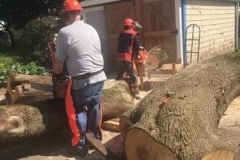 Chainsaw2-2021-07