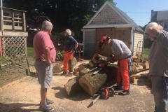 Chainsaw4-2021-07