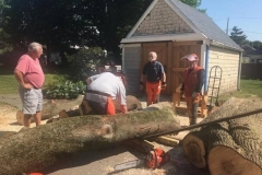 Chainsaw6-2021-07