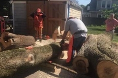 Chainsaw5-2021-07